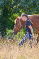 ? Comportementaliste �quin � retrouver une relation sereine avec son cheval